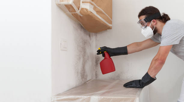 Professional Mold Testing technician working in Flagtown, NJ
